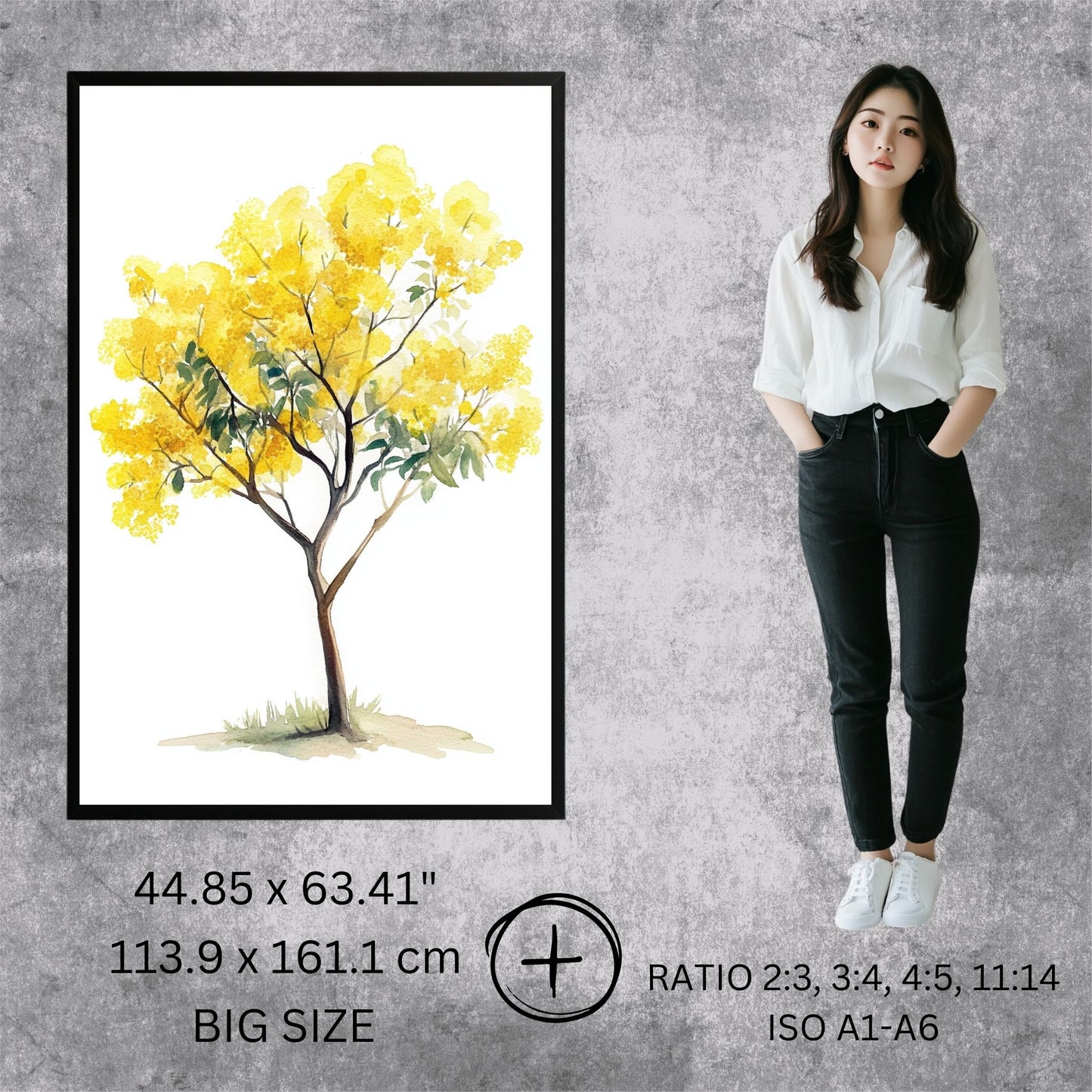 Golden Mimosa Beauty