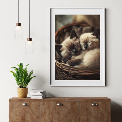 cats pics-Dreamy Duo-DigiCraft-Studio-wall art cats