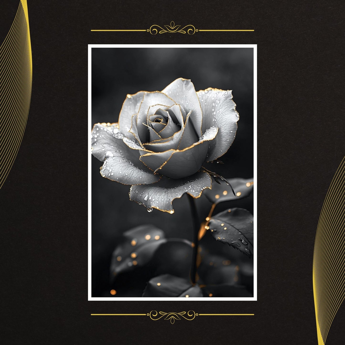 Luxurious digital print of a rose with golden accents on the edges