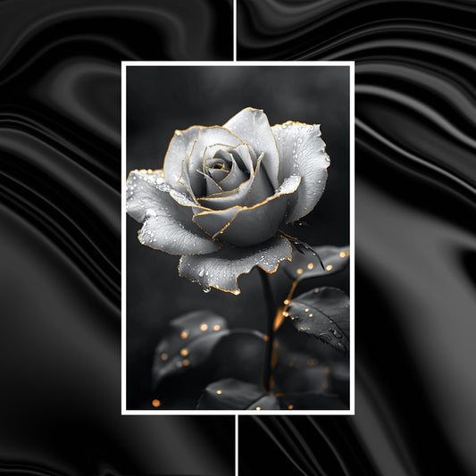 Black-and-white art of a rose with golden edges and dew drops