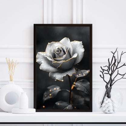 Stunning black-and-white rose with golden detailing and water droplets.